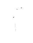 꾸밈 이미지